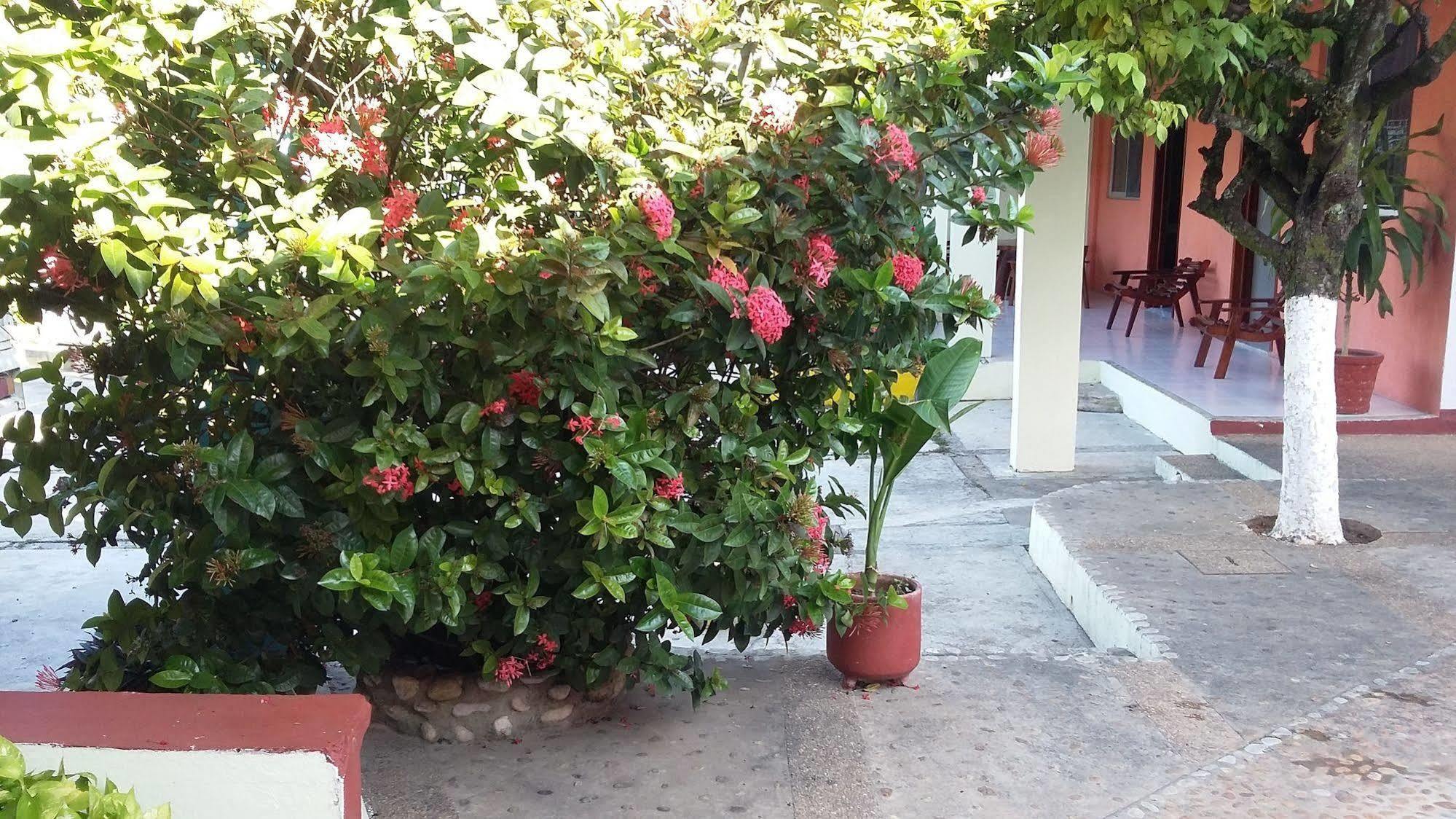 Hotel Mallorca Palenque Luaran gambar